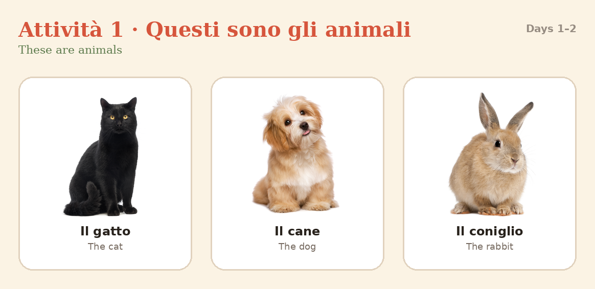 Printable flashcards: il gatto, il cane, il coniglio